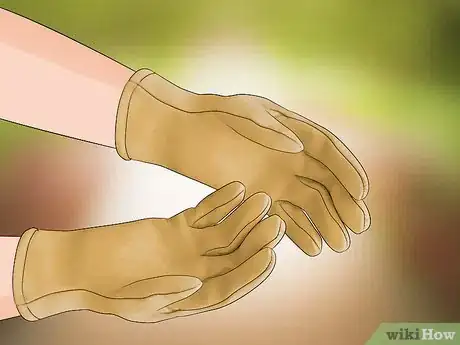 Imagen titulada Trim Evergreen Bushes Step 5
