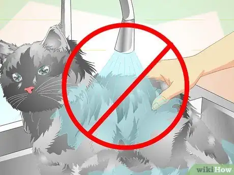 Imagen titulada Make an Herbal Flea Remedy for Cats Step 8