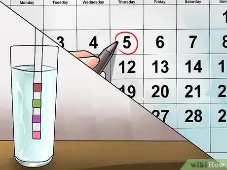 Imagen titulada Maintain Your Swimming Pool Step 4