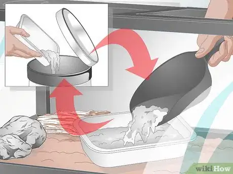 Imagen titulada Bathe a Leopard Gecko Step 12