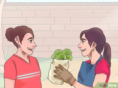 Imagen titulada Take Ginkgo Biloba Step 10