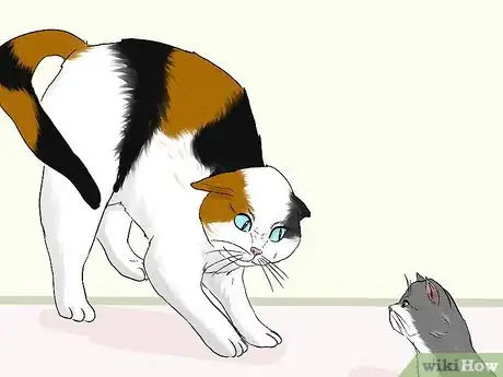 Imagen titulada Stop an Older Cat from Attacking a Kitten Step 11