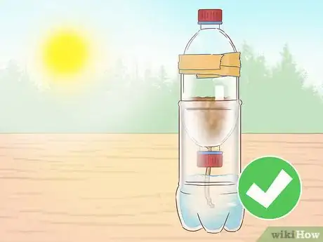 Imagen titulada Create an Ecosystem in a Bottle Step 20