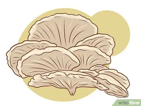 Imagen titulada Grow Edible Mushrooms Step 5