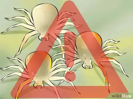 Imagen titulada Get Rid of Spider Mites Step 4