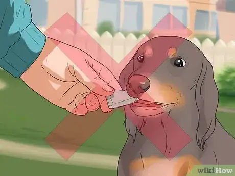 Imagen titulada Be a Good Pet Owner (for Kids) Step 7