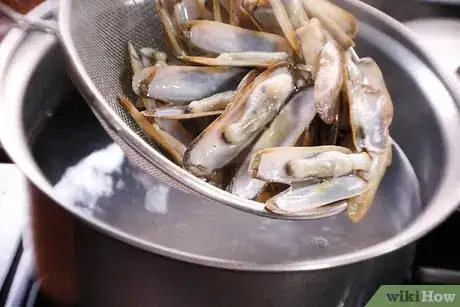 Imagen titulada Clean a Razor Clam Step 5
