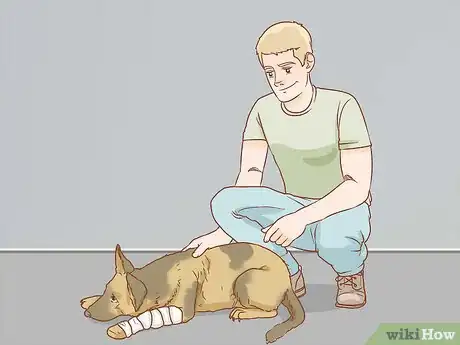 Imagen titulada Help a Dog Recover from a Broken Leg Step 18