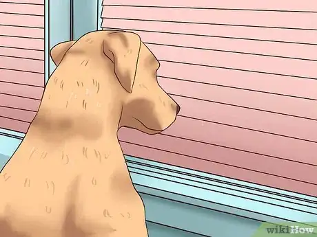 Imagen titulada Get Dogs to Stop Barking Step 22