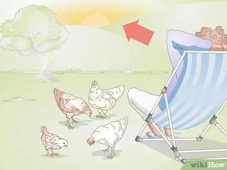Imagen titulada Get Your Hen to Become Broody Step 11