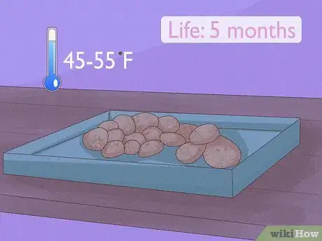 Imagen titulada Grow Potatoes Indoors Step 18
