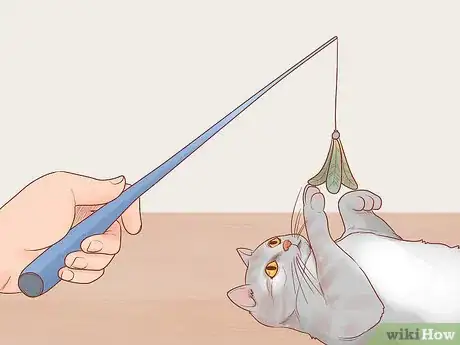 Imagen titulada Greet a Cat Step 11
