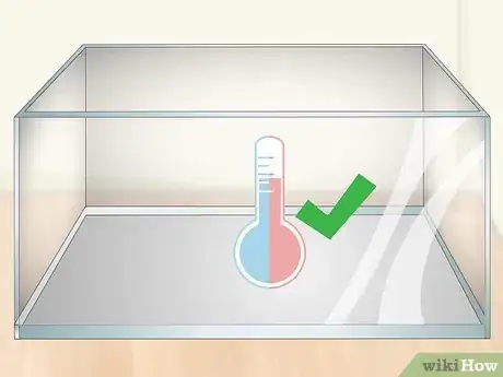 Imagen titulada Care for an Eastern Box Turtle Step 5