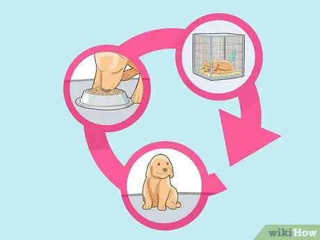 Imagen titulada Care for a Dog With a Broken or Fractured Pelvis Step 13