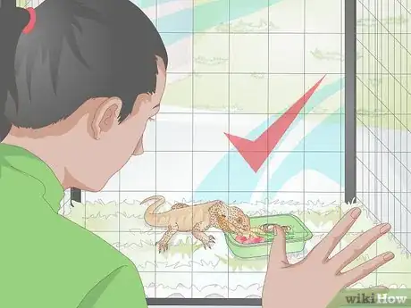 Imagen titulada Feed a Bearded Dragon Step 11