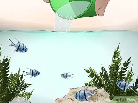 Imagen titulada Start a Saltwater Aquarium Step 38