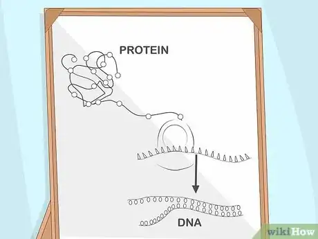 Imagen titulada Study for Biology Step 6