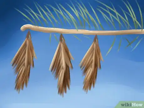 Imagen titulada Get Rid of Bagworms Step 1
