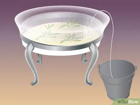 Imagen titulada Siphon Water Step 2