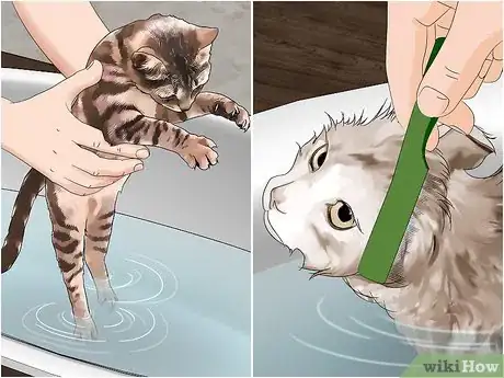 Imagen titulada Get Rid of Clover Mites Step 4