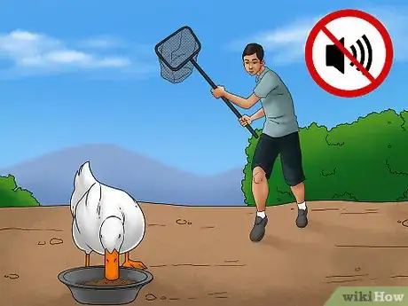 Imagen titulada Catch a Duck Step 3