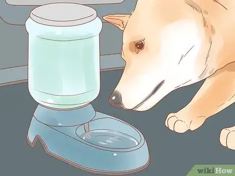 Imagen titulada Travel by Car with Your Dog Step 12