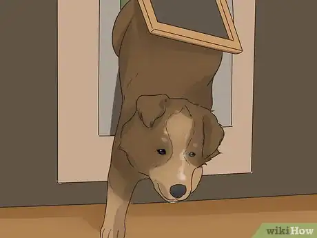 Imagen titulada Train Your Dog to Use a Dog Door Step 11