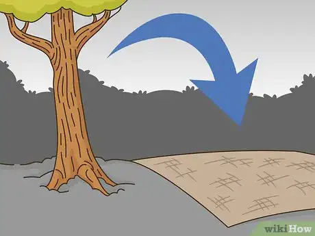 Imagen titulada Transplant a Young Tree Step 11