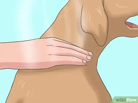 Imagen titulada Safely Sedate a Dog Step 6