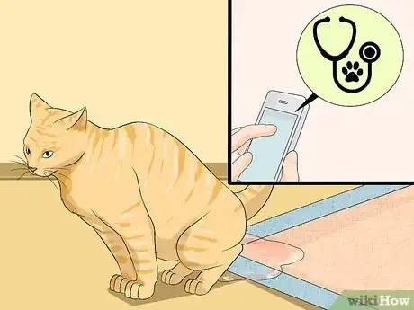 Imagen titulada Clean a Litter Box Step 14