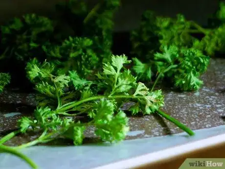 Imagen titulada Dry Parsley Step 14