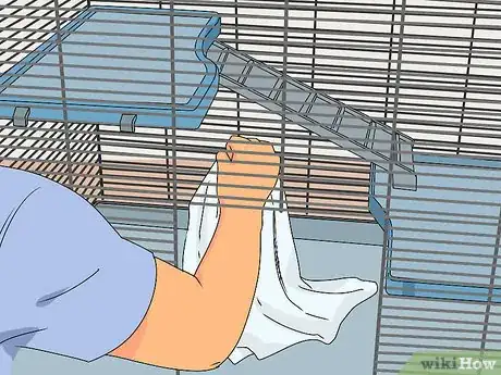 Imagen titulada Take Care of a Paralyzed Rat Step 1