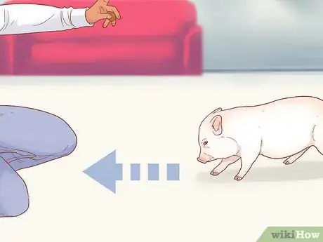 Imagen titulada Train a Pig Step 12