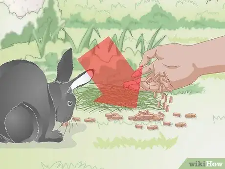 Imagen titulada Feed a Wild Rabbit Step 3