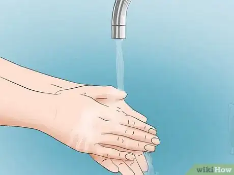 Imagen titulada Look After a Turtle Step 15