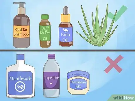 Imagen titulada Diagnose and Treat Your Dog's Itchy Skin Problems Step 22