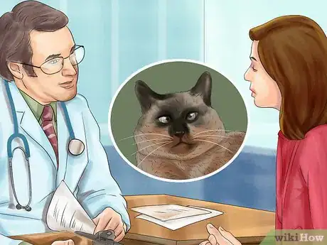 Imagen titulada Care for Siamese Kittens Step 10