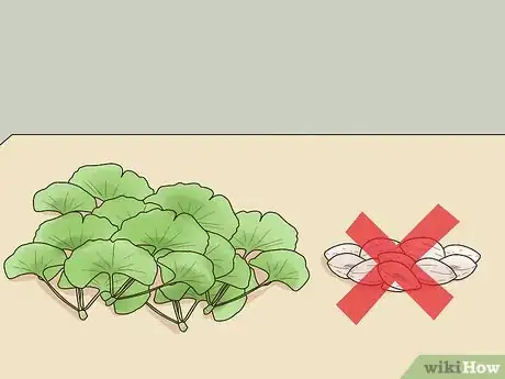 Imagen titulada Take Ginkgo Biloba Step 11
