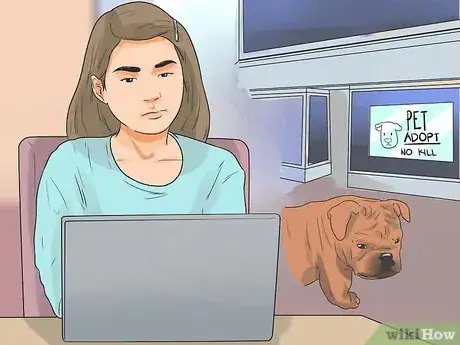 Imagen titulada Catch a Stray Dog Step 15