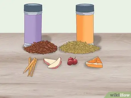 Imagen titulada Tame a Hedgehog Step 6