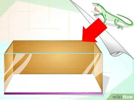 Imagen titulada Create a Green Anole Habitat Step 1