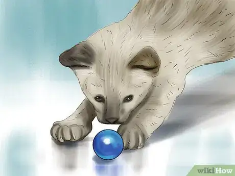 Imagen titulada Care for Siamese Kittens Step 12