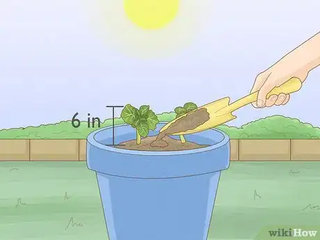 Imagen titulada Grow Potatoes Indoors Step 14