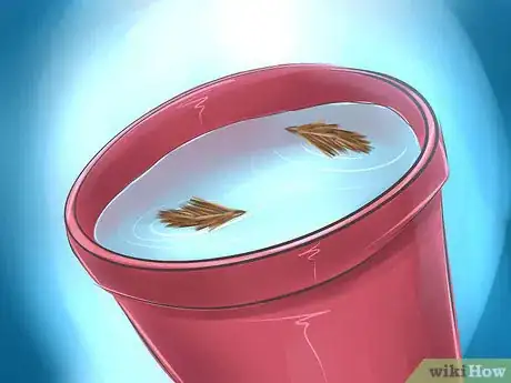 Imagen titulada Get Rid of Bagworms Step 7