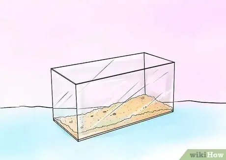 Imagen titulada Take Care of Ghost Shrimp Step 4