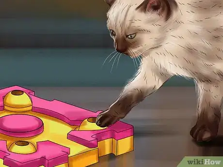 Imagen titulada Care for Siamese Kittens Step 13