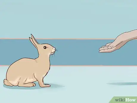 Imagen titulada Pet a Rabbit Step 4