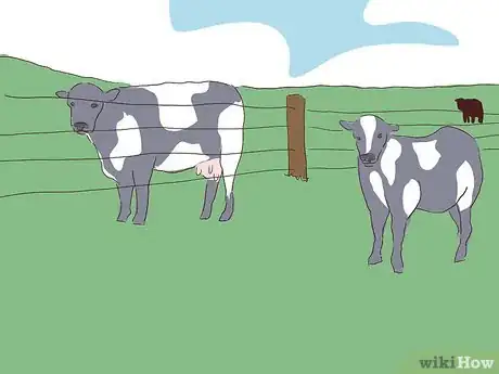 Imagen titulada Run a Cattle Ranch Step 15