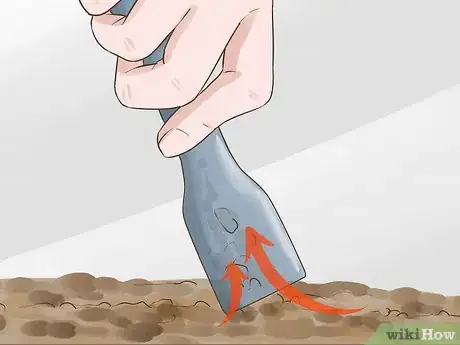 Imagen titulada Clean a Fish Tank With Sand Step 15