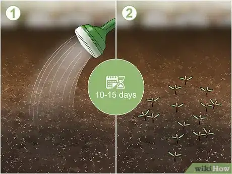 Imagen titulada Grow Moss Rose Step 5